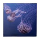 Suche nach quallen fliesen Meer