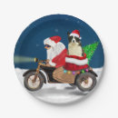 Suche nach border collie teller Für alle