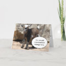 Suche nach ziege karten Für kinder