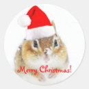 Suche nach chipmunk aufkleber Wild lebende tiere