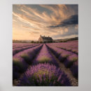 Suche nach lavendelfelder poster Provence