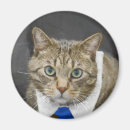 Suche nach tabbykatze magnete Jede person