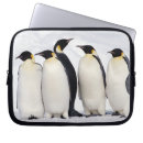 Suche nach penguin laptop schutzhüllen Pinguine