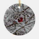 Suche nach roter kardinal ornamente Verzierung