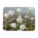 Suche nach studie magnete Blumen