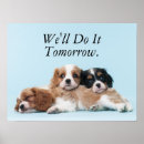 Suche nach cavalier king charles spaniel poster Welpe