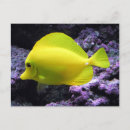 Suche nach korallenriff karten Jede person