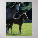 Suche nach backlit poster Bob sprache