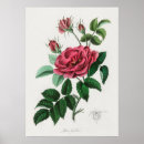 Suche nach schäbig poster Blume