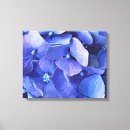 Suche nach hydrangeas leinwandbilder Jede person