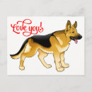 Suche nach schäferhunde postkarten Welpen