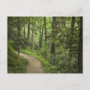 Suche nach waldpostkarte Baum