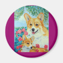 Suche nach pembroke welsh corgi magnete Dog
