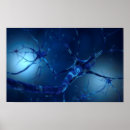 Suche nach synapse poster Medizin