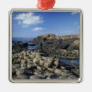 Suche nach landkreis ornamente Natur