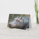Suche nach lustige ruhestand karten Tiere