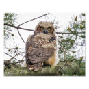 Suche nach niedliches küken poster Baby