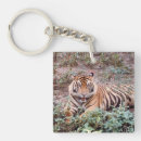 Suche nach sumatran tiger schlüsselanhänger Wild