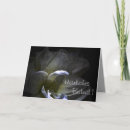 Suche nach amaryllis karten Blüte