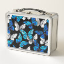 Suche nach motte brotdosen Blau