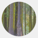 Suche nach baumstämme aufkleber Landschaft