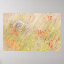Suche nach unscharfe bewegung poster Abstrakt