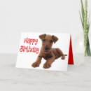 Suche nach airedale terrier karten Jungtier