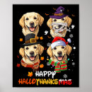 Suche nach hässliche tiere poster Ya dreckiges tier
