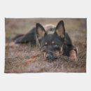 Suche nach german geschirr tücher Hund