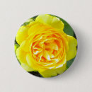 Suche nach rosetten buttons Blumenreich
