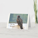 Suche nach bussard karten Vögel