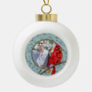 Suche nach weihnachtsvögel ornamente Für alle