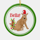 Suche nach lustiger hund ornamente Hunde