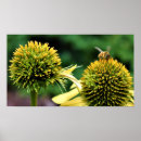 Suche nach mit biene poster Sommer