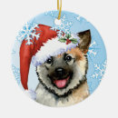 Suche nach norwegische ornamente Welpe