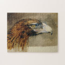Suche nach raubvogel puzzle Falken