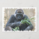 Suche nach gorilla einladungen Affe