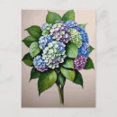 Suche nach vintage hydrangea postkarten Blume