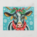 Suche nach viehzüchter postkarten Kuh