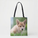 Suche nach corgi taschen Haustier