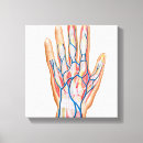 Suche nach transparent leinwandbilder Physiologie