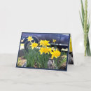 Suche nach gelber lkw karten Jede person