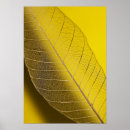 Suche nach empfindlich poster Druck