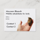 Suche nach wild lebende tiere visitenkarten Vogel