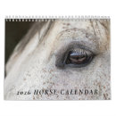 Suche nach reiter kalender Pferd