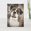 Suche nach boxer hund karten Für ihn