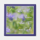 Suche nach stillen magnete Bibel