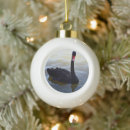 Suche nach schwan ornamente Für alle