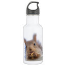 Suche nach eichhörnchen trinkflaschen Natur