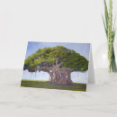 Suche nach geschichte karten Für ihn